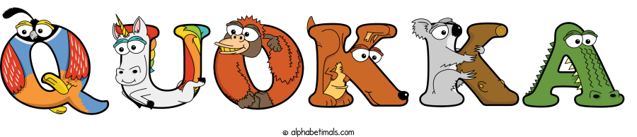 Quokka animal word art spelling Quokka with Alphabetimals - cartoon alphabet animals