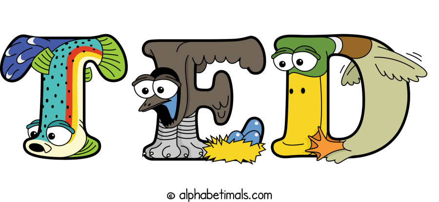 Ted animal word art spelling Ted with Alphabetimals - cartoon alphabet animals